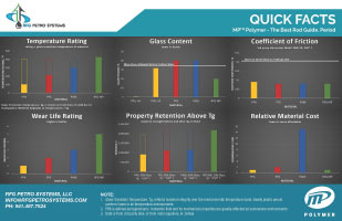 RFG Petro Systems - Quick Facts